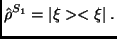 $\displaystyle \hat \rho^{S_1}= \vert\xi><\xi\vert\;.$